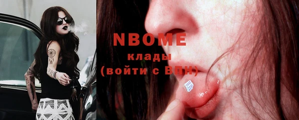 хмурый Аркадак