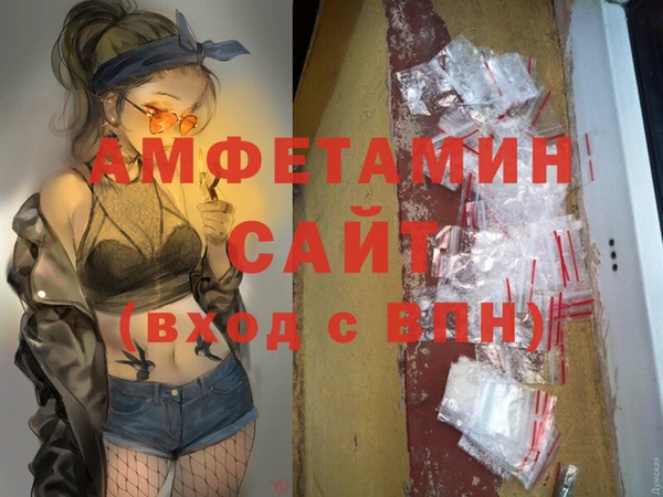 хмурый Аркадак