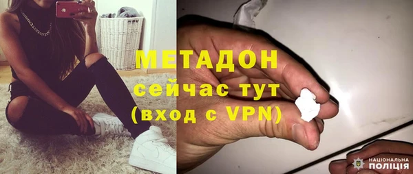 хмурый Аркадак