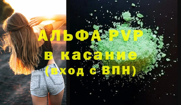 хмурый Аркадак