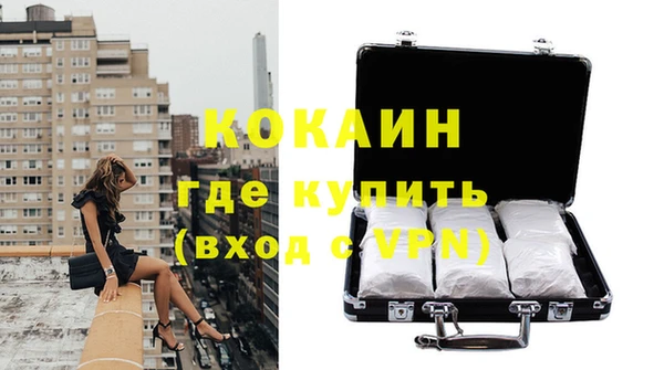 хмурый Аркадак