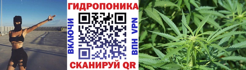 Канабис Amnesia  магазин продажи   Тайшет 